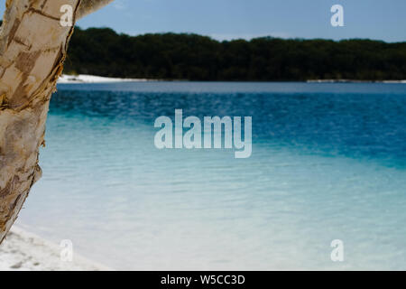 Il lago di Mackenzie su Fraser Island,Queensland è un lago di acqua dolce popolare con i turisti . Foto Stock