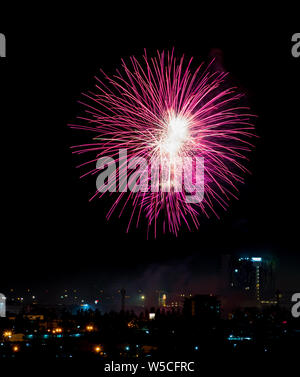 Vivacemente colorati fuochi d'artificio e saluto di vari colori nel cielo notturno Foto Stock