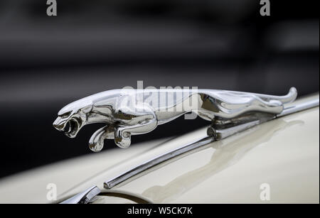 Jaguar auto ornamento del cofano Foto Stock