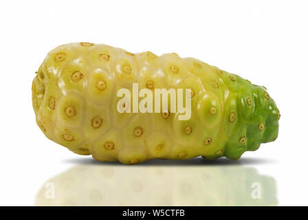 Il Noni o Morinda frutti isolati su sfondo bianco Foto Stock