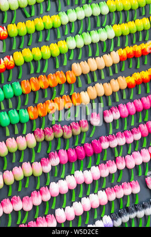 Negozio di souvenir da Amsterdam, Olanda. Legno fiori tulip magneti Foto Stock