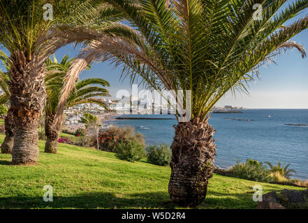 Vista su tutta la baia di Costa Adeje Foto Stock