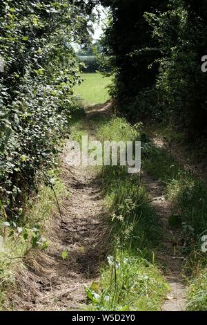 Stili di diritti pubblici di modo, sentiero pubblico. Foto Stock