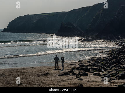 Caerfai Bay vicino a St Davids in Pembrokeshire Foto Stock