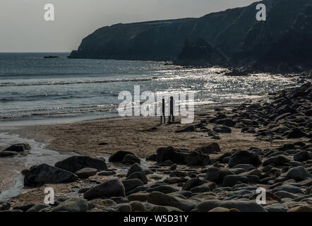 Caerfai Bay vicino a St Davids in Pembrokeshire Foto Stock