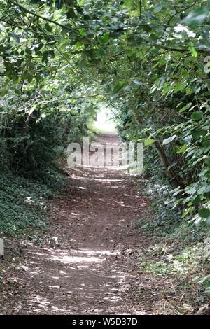 Stili di diritti pubblici di modo, sentiero pubblico. Foto Stock