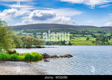 La testa di Bala Lake, Llyn Tegid, nel Galles del Nord, su una bella serata primaverile. Foto Stock