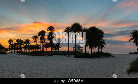 Sunrise a palme dalla Ocean Beach in Key Biscayne, Florida Foto Stock