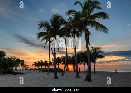 Sunrise a palme dalla Ocean Beach in Key Biscayne, Florida Foto Stock