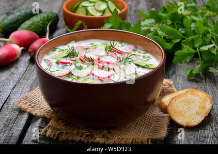 Estate yogurt zuppa fredda con radicchio, cetriolo, e aneto woodwn sul tavolo. Okroshka. Foto Stock