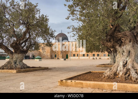 La Moschea di Al-Aqsa in Gerusalemme sulla cima del Monte del Tempio a Gerusalemme Foto Stock