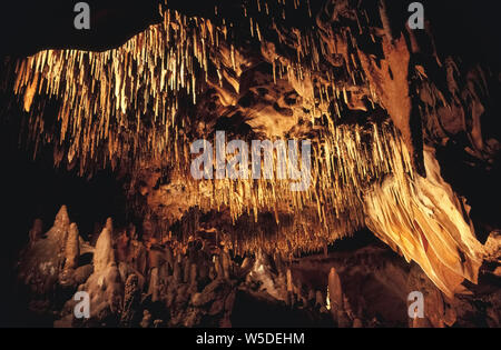 Incredibili formazioni naturali che sono creati mediante gocciolamento di acqua sotterraneo in grotte di calcare può essere visto da vicino a Florida Caverns State Park nei pressi di Marianna nella Panhandle della Florida, Stati Uniti d'America. Sovraccarico in questa grotta sono stalattiti che molto lentamente gocciolare per formare la paglia-come le forme o wide design ondulato che assomigliano a tendaggi (sulla destra). Il gocciolamento continuo crea anche a forma di cono stalagmiti sul pavimento grotta che sono di dimensioni più grandi. Entrambi i tipi di formazioni sono composte di calcite, un minerale lisciviati dal calcare da infiltrazioni di acqua piovana attraverso il terreno per molte migliaia di anni. Foto Stock