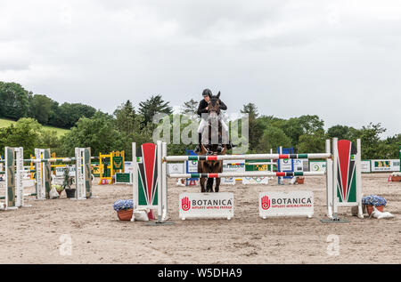 Carrigaline, Cork, Irlanda. 28 Luglio, 2019. Liam O'Meara su Oldtown Kc cancella il recinto in 1.5m nuova altezza Champions serie durante il Premier Grand Prix, 3 giorni di manifestazione che si è svolta presso il Maryville centro equestre in Carrigaline, Co. Cork, Irlanda. Credito; David Creedon / Alamy Live News Foto Stock