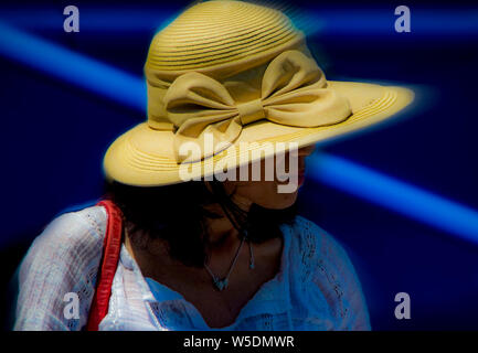 Donna in hat Foto Stock