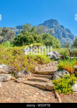 Giardini Botanici di Kirstenbosch a Cape Town, Sud Africa. Percorso roccioso attraverso i giardini. Foto Stock