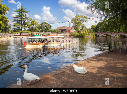 Per piacere un giro in barca sul fiume Avon passando attraverso la città di Stratford upon Avon Warwickshire Inghilterra con oche sulle rive Foto Stock