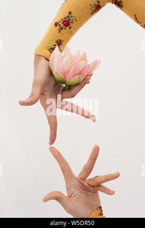 Le mani di una bella asiatica spirituale coreano donna americana. Foto Stock