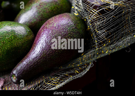 Appena raccolti organici frutti di avocado (AKA burro frutta o alligator pear) sul tessuto a rete. Esso contiene quantità sostanziali di acidi grassi sani. Foto Stock