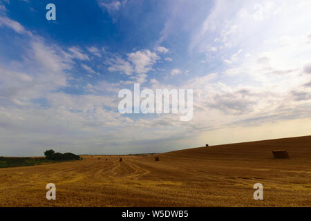 Pomeriggio soleggiato vicino a Cambridge, Regno Unito Foto Stock