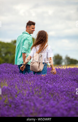 Uomo e donna coppia giovane mi camminando mano nella mano attraverso colorate di campi di lavanda a Cotswold lavanda near Broadway Worcestershire, England Regno Unito Foto Stock