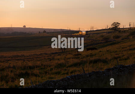 GB classe di merci su rotaie 66 motrice passando di Shap Wells, sulla costa ovest mainline in Cumbria con un breve treno merci che trasportano MOD memorizza Foto Stock