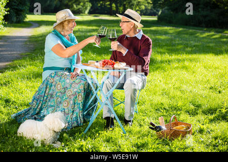 Felice coppia senior picnic nel parco. Un bianco piccolo cane accanto ai loro piedi e un cestello pcinic nell'erba verde, il tintinnio con occhiali rossi wi Foto Stock