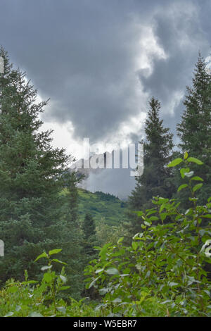 Bertha Creek Campeggio, Alaska Foto Stock