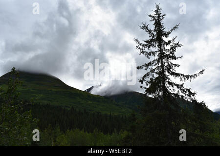 Bertha Creek Campeggio, Alaska Foto Stock