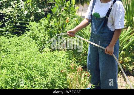 Donna di giardinaggio Mano azienda versando acqua sulla pianta con tubo di gomma giardino in estate Foto Stock