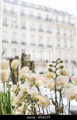 Fiori sono venduti sulla strada. Fiori artificiali per cimitero. Dettagli  del negozio di fiori. Fiori in plastica. Commercio in Russia Foto stock -  Alamy