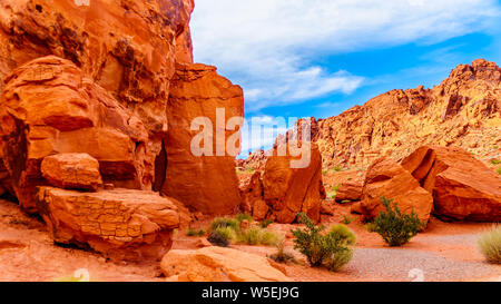 Bella rossa di formazioni rocciose in il Parco della Valle di Fire State in Nevada, STATI UNITI D'AMERICA Foto Stock