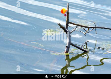 Linea di pesca e pesca bobber galleggiante infilate a sinistra intorno al ramo di albero in lago di mettere in pericolo gli uccelli acquatici selvatici Foto Stock