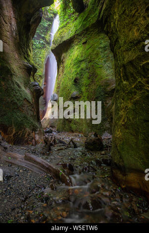 Vista di un fiume e una cascata in un bellissimo canyon naturale. Preso in spiaggia Sombrio vicino a Port Renfrew, Isola di Vancouver, BC, Canada. Foto Stock