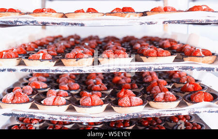 Torta con fragole e cioccolato in un tartlet. Estate dessert freschi, naturale Foto Stock