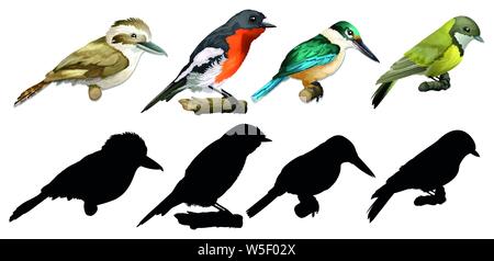 Silhouette, il colore e la versione di contorno di uccelli illustrazione Illustrazione Vettoriale