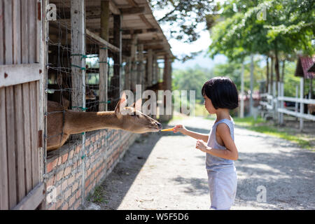 Asian poco ragazza cinese di cervi di alimentazione con la carota in fattoria per esterni Foto Stock