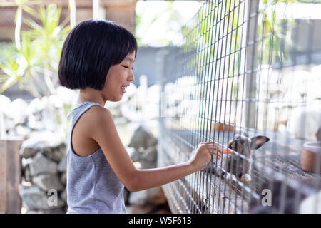 Asian poco ragazza cinese di alimentazione del coniglio con la carota in fattoria per esterni Foto Stock