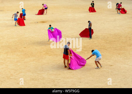 Formazione dei toreri apprendisti con una finta bull nell'arena Plaza de toros de la Malagueta a Malaga, Andalusia, Spagna Foto Stock