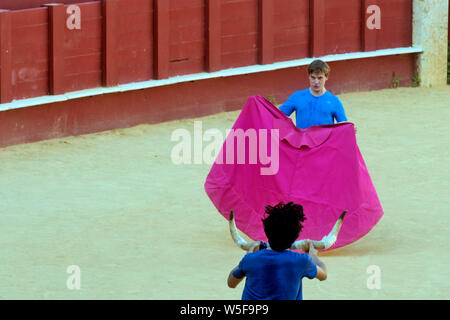 Formazione dei toreri apprendisti con una finta bull nell'arena Plaza de toros de la Malagueta a Malaga, Andalusia, Spagna Foto Stock