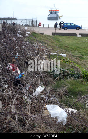 Cucciolata sparsi attorno a Newhaven East Sussex. Foto Stock