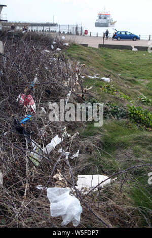 Cucciolata sparsi attorno a Newhaven East Sussex. Foto Stock