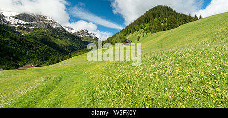 Austria, Tirolo, Allgau Alpi, Hornbach valley, un lato Valle del Lech spartiacque, granaio Foto Stock