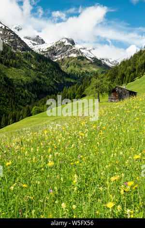 Austria, Tirolo, Allgau Alpi, Hornbach valley, un lato Valle del Lech spartiacque, prato, granaio Foto Stock