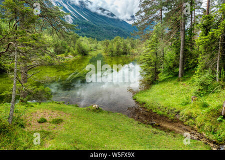 Austria, Tirolo, Lechtal, Naturpark Tiroler Lech, stagno, bosco ripariale Foto Stock