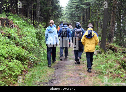 28 maggio 2019, Baden-Wuerttemberg, Seebach: un escursionismo gruppo è guidato da un volontario ranger nella Foresta Nera parco nazionale attraverso la foresta nera dal Ruhestein. Foto: Uli Deck/dpa Foto Stock