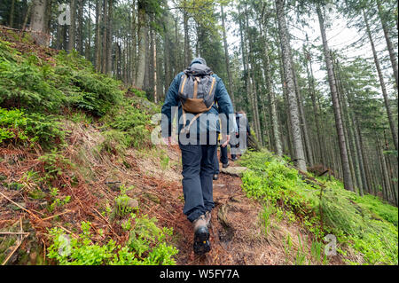 28 maggio 2019, Baden-Wuerttemberg, Seebach: un escursionismo gruppo è guidato da un volontario ranger nella Foresta Nera parco nazionale attraverso la foresta nera dal Ruhestein. Foto: Uli Deck/dpa Foto Stock