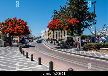 Protaras main street, Protaras, Cipro Foto Stock