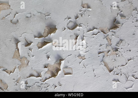 Lo sfondo o la trama di un vecchio scaglie di vernice bianca spellatura di un soffitto in edificio abbandonato Foto Stock