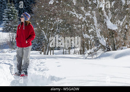 L'Italia, Lombardia, Alpi Retiche, Valle Camonica, escursioni con le racchette da neve sul sentiero per la antica chiesa Alpina di San Clemente Foto Stock