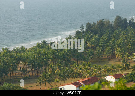 Palme sulla spiaggia Ganpatipule parte estesa verso Ratnagiri, Maharashtra, India. Foto Stock